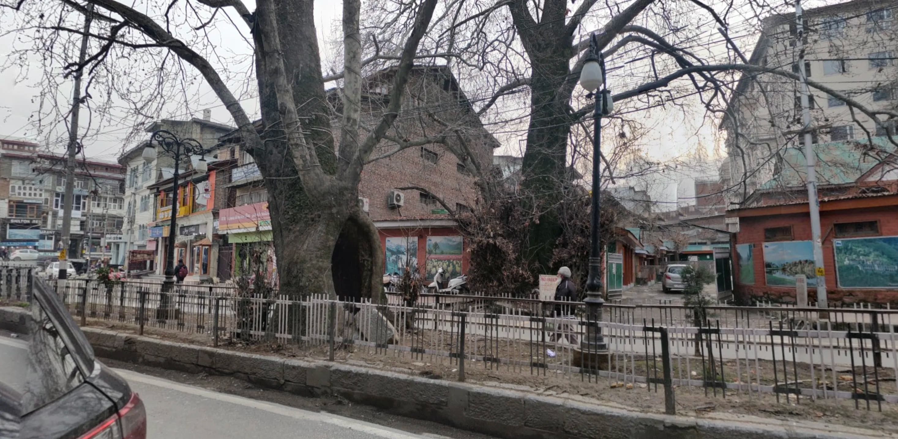 Polo View Street — gallery